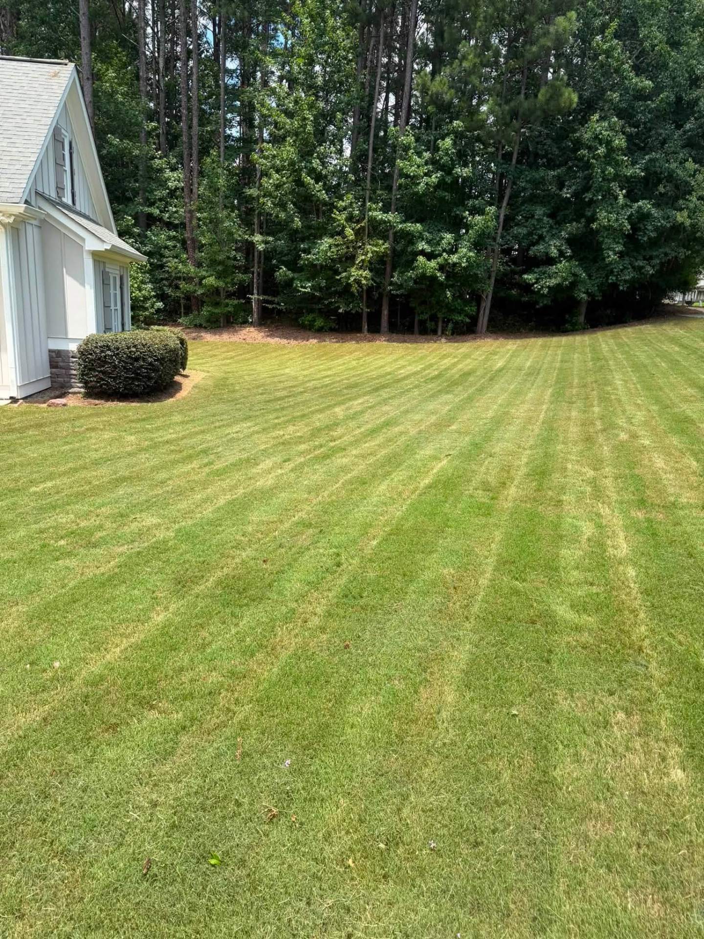 Freshly mowed backyard with clean mowing stripes in Coweta County, GA