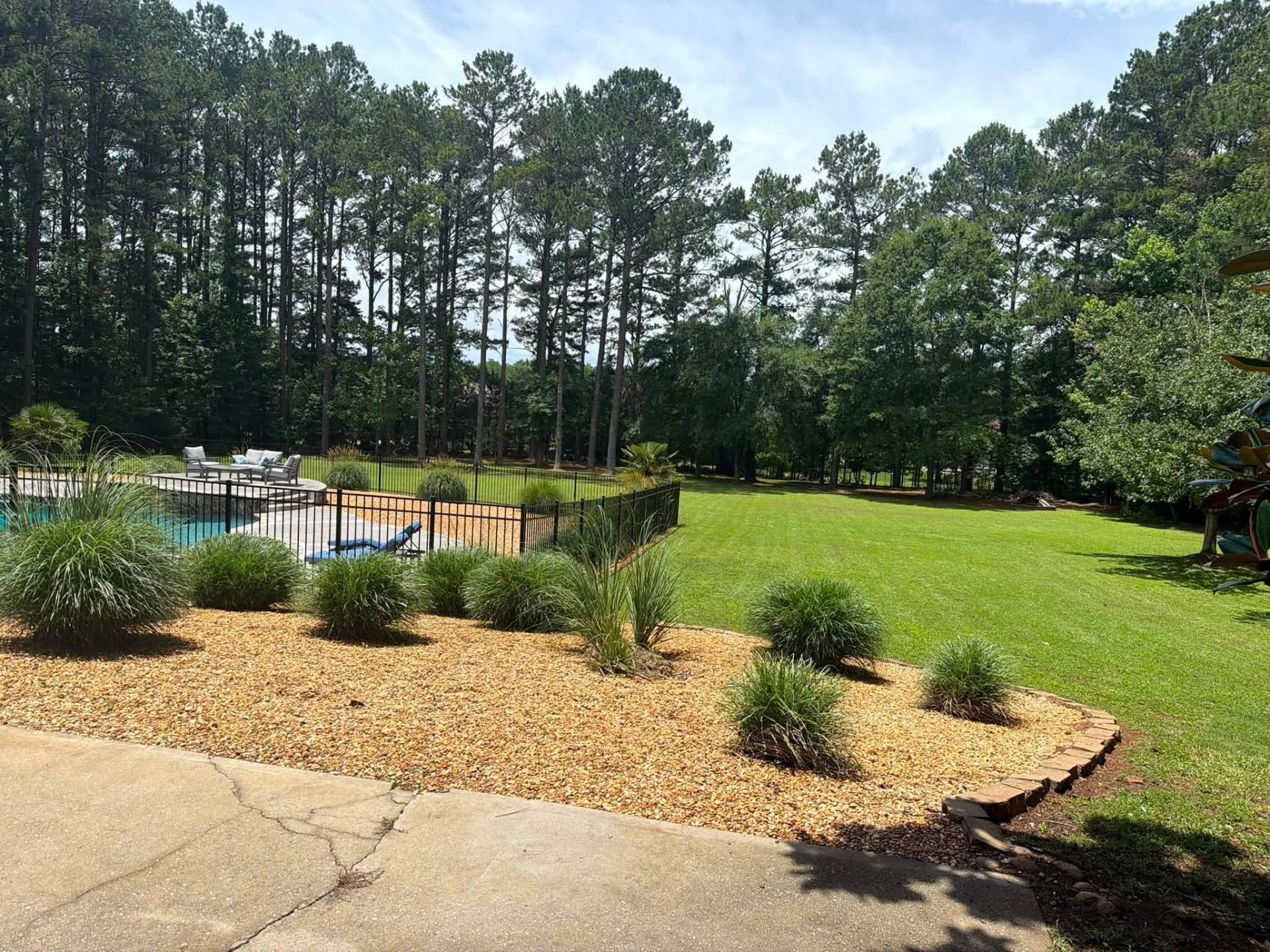 Landscaped pool area with ornamental grasses, gravel bed and manicured lawn