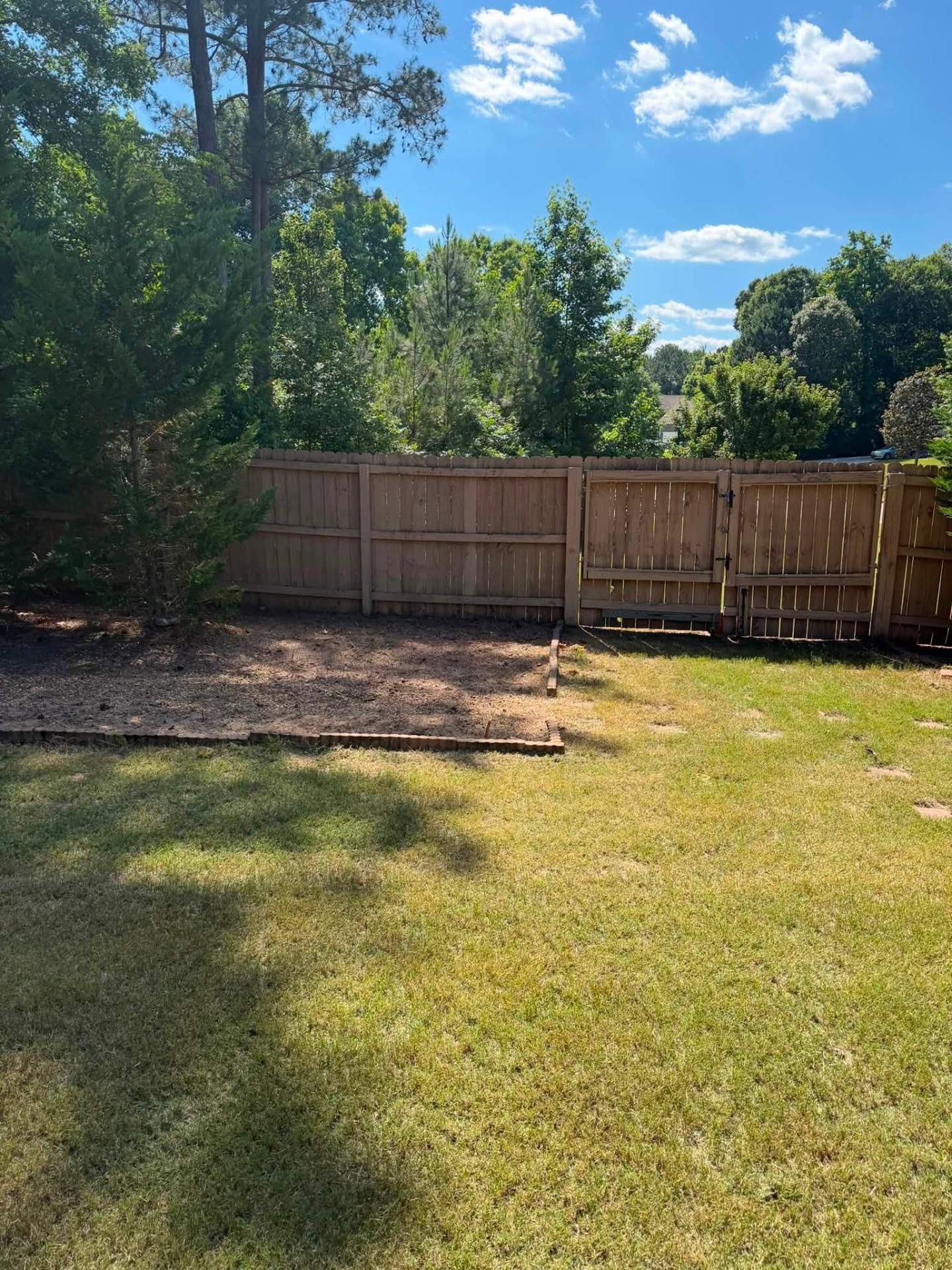 Overgrown Bed Clearing & Fence Line Cleanup — after