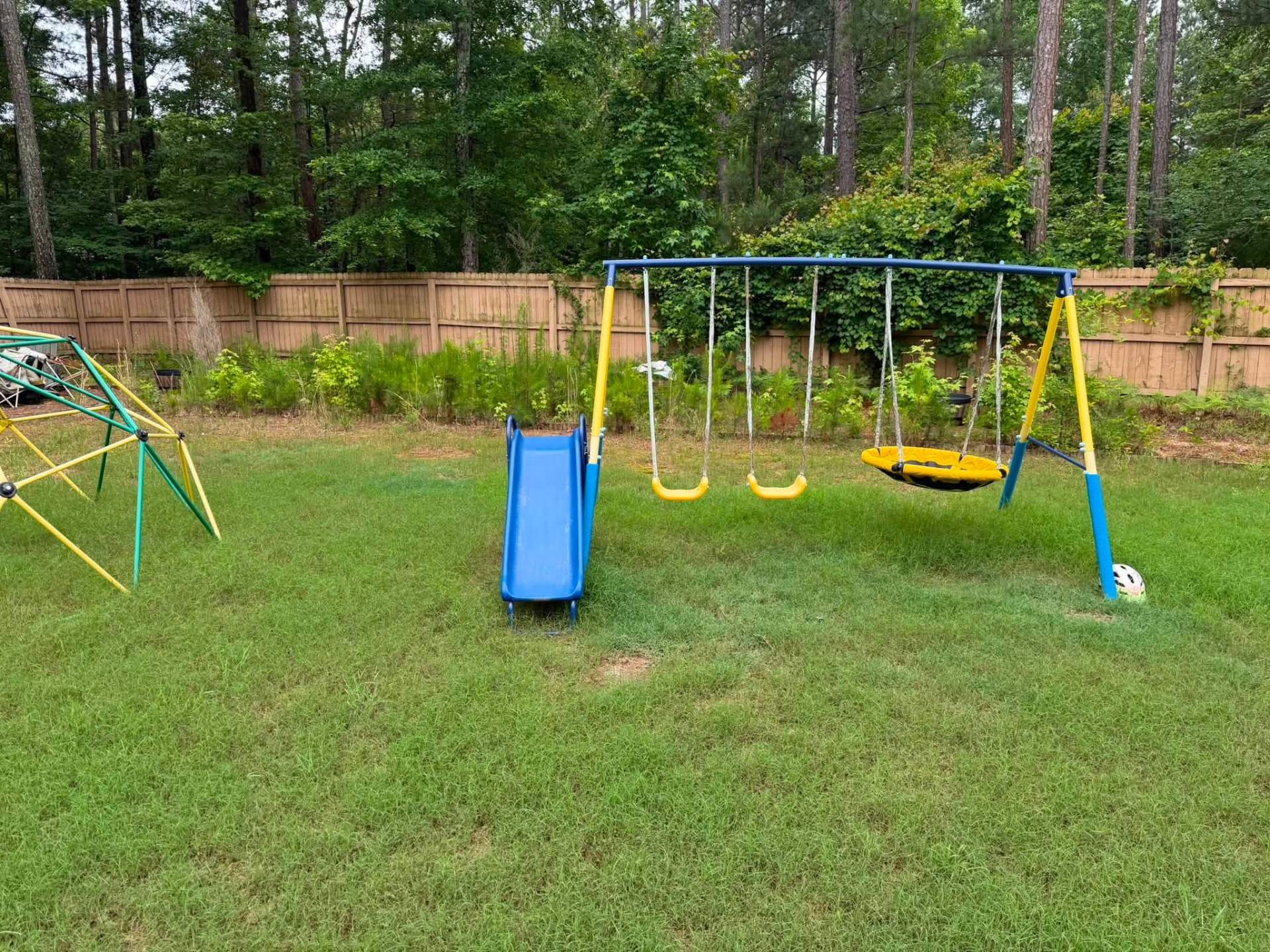 Backyard Reclaim & Play Area Cleanup — before